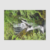 滝 薄葉紙 (正面)