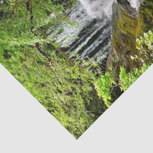 滝 薄葉紙 (詳細)