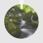 滝 |里山象形滝 オーナメント (裏面)