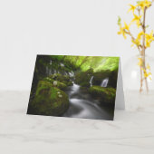 滝 |里山象形滝 カード (黄色い花)