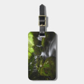 滝 |里山象形滝 ラゲッジタグ (正面縦)