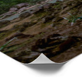 滝 | Havasu滝at Sunset ポスター (角)