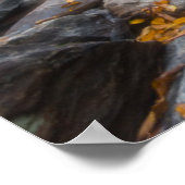 滝 | Looking Glass Waterfalls ポスター (角)