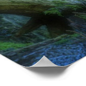 滝 | Shinmata Ravine，日本 ポスター (角)