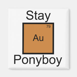 滞在の金ゴールドのPonyboyの要素のしゃれ マグネット