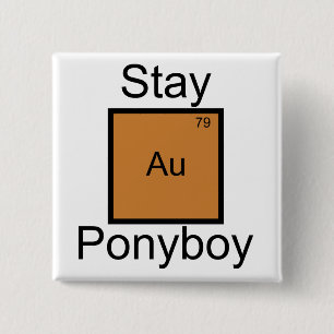 滞在の金ゴールドのPonyboyの要素のしゃれ 缶バッジ