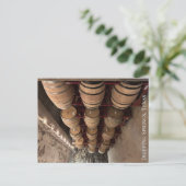 滴下春、テキサス州はがき ポストカード (スタンド正面)