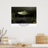 漁師の喜び ポスター (キッチン)