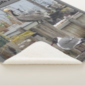 「漁師の夢」ミディアムシェルパ毛布 シェルパブランケット (3/4)