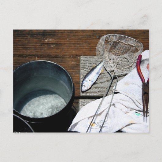 漁師の漁獲量 ポストカード (正面)