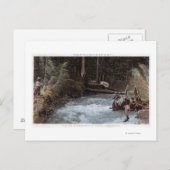 漁師魚釣りアットコモンウェルスクリーク ポストカード (正面/裏面)