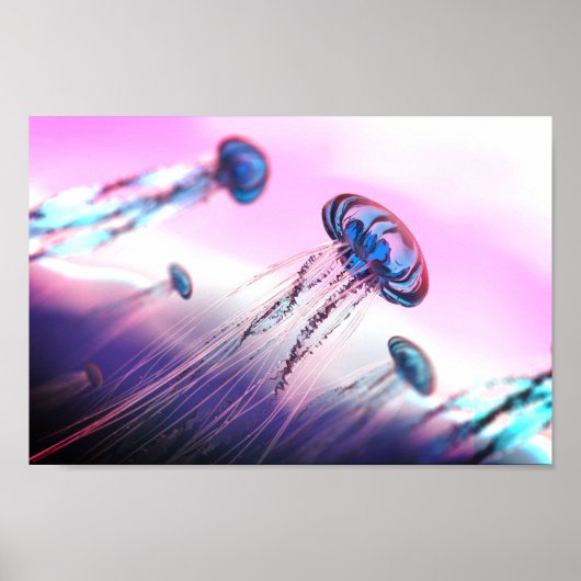 漂流する ポスター (正面)