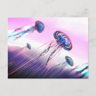 漂流する ポストカード