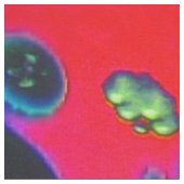 漂流夢想生地 ファブリック (クローズアップ)