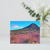 漂流者 ポストカード (スタンド正面)