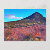 漂流者 ポストカード (正面)