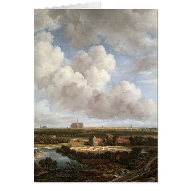 漂白の地面 (正面)