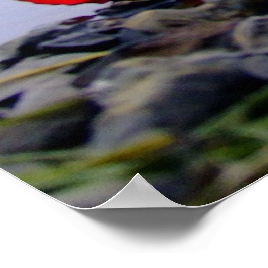 漂着した赤いバラ ポスター (角)