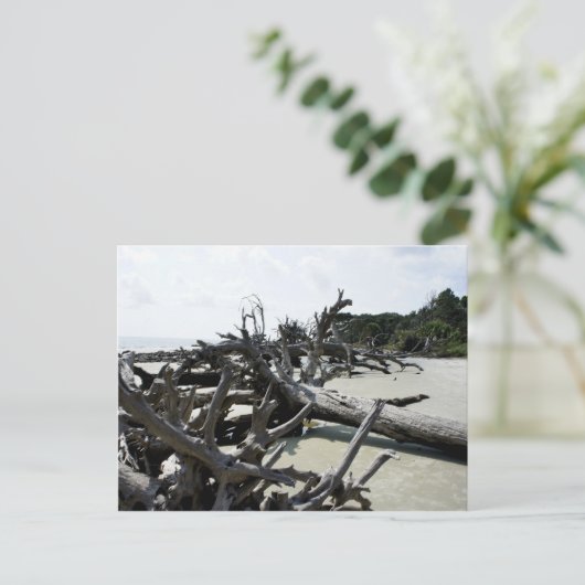 漂着する ポストカード (スタンド正面)