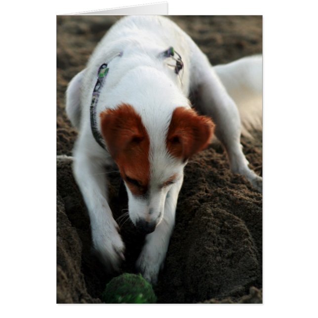 "演劇の懸命! " (正面)