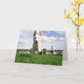 演劇の挨拶状の子犬 カード (黄色い花)