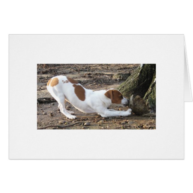 演劇のDottie (正面横)