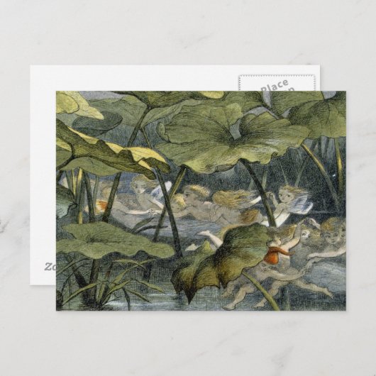 演劇、Fairylanのイラストレーションの木製の小妖精や小人からの「 ポストカード (正面/裏面)