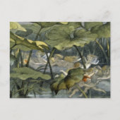 演劇、Fairylanのイラストレーションの木製の小妖精や小人からの「 ポストカード (正面)