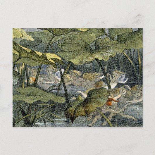 演劇、Fairylanのイラストレーションの木製の小妖精や小人からの「 ポストカード (正面)