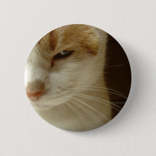 演技猫 缶バッジ (正面)