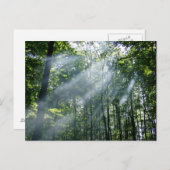 漠然とした静寂 ポストカード (正面/裏面)