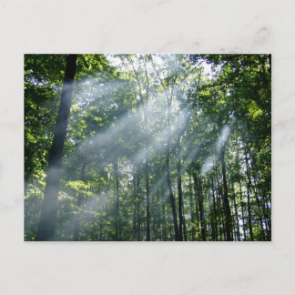 漠然とした静寂 ポストカード