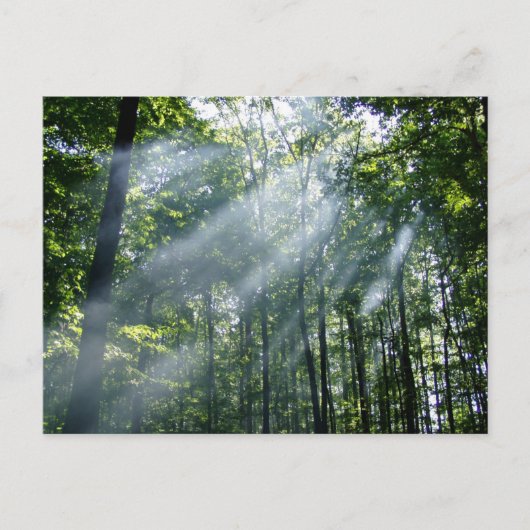 漠然とした静寂 ポストカード (正面)