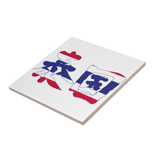 【漢字】タイ タイル (側面)