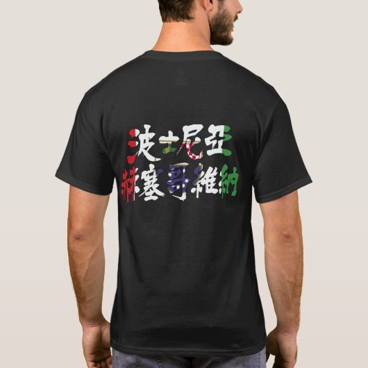 【漢字】ボスニア・ヘルツェゴビナ国旗の色 Tシャツ (裏面)