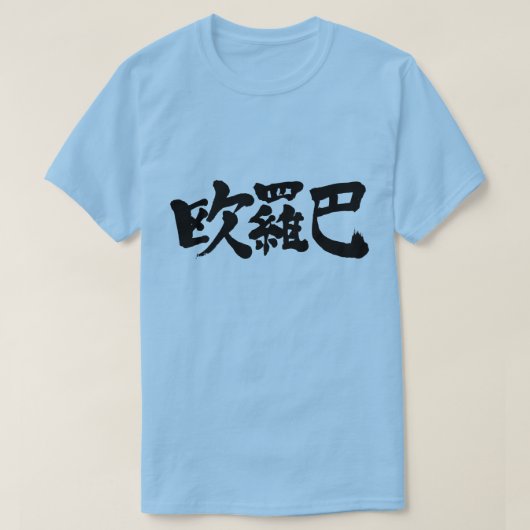 【漢字】ユーロ、ヨーロッパ Tシャツ (デザイン正面)
