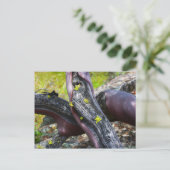 漫才田はがき ポストカード (スタンド正面)