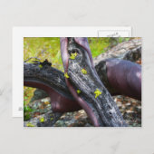 漫才田はがき ポストカード (正面/裏面)