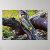 漫才田ポスター ポスター (正面)