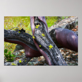 漫才田ポスター ポスター