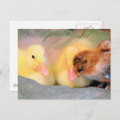 漫画のアヒルとひよこ ポストカード (正面/裏面)
