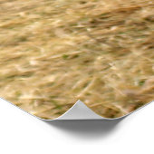 漫画のオオカミのショット ポスター (角)