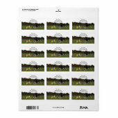 漫画の猫と鳥の住所 シール (フルシート)