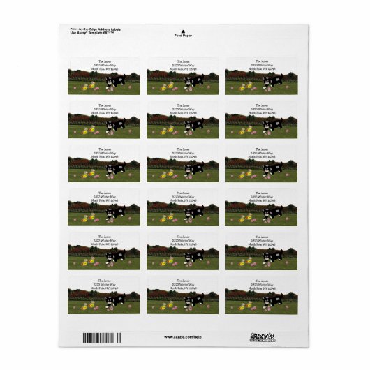 漫画の猫と鳥の住所 シール (フルシート)