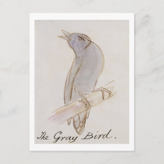 「漫画Birの16のスケッチからの灰色の鳥、 ポストカード (正面)