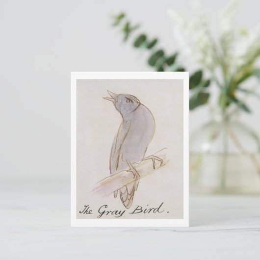 「漫画Birの16のスケッチからの灰色の鳥、 ポストカード (スタンド正面)