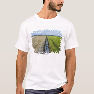 潅漑チャネルの中間の米分野 Tシャツ