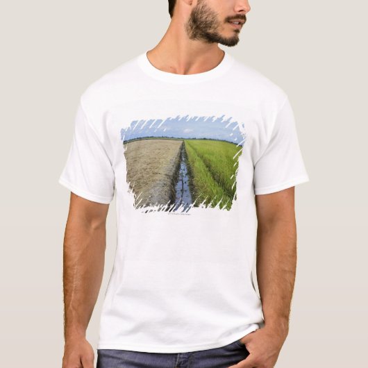 潅漑チャネルの中間の米分野 Tシャツ (正面)