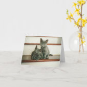 潔白のメッセージカード カード (黄色い花)