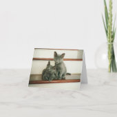 潔白のメッセージカード カード (正面)